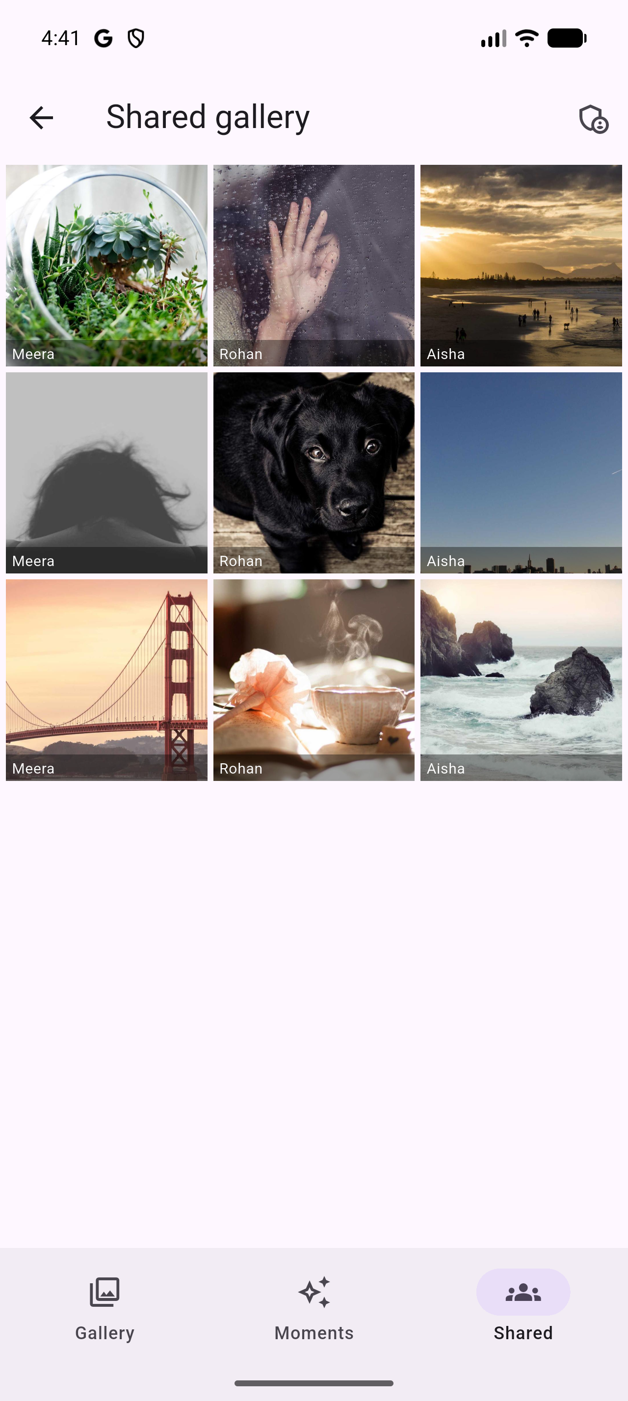 FABPix shared event gallery showing photos from every guest